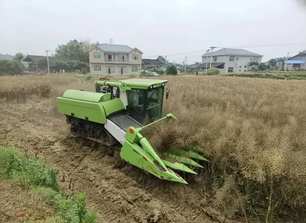 Grain Combine Harvester