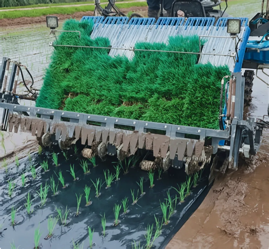 Agricultural gearbox for rice transplanter transmission case Ever Power product