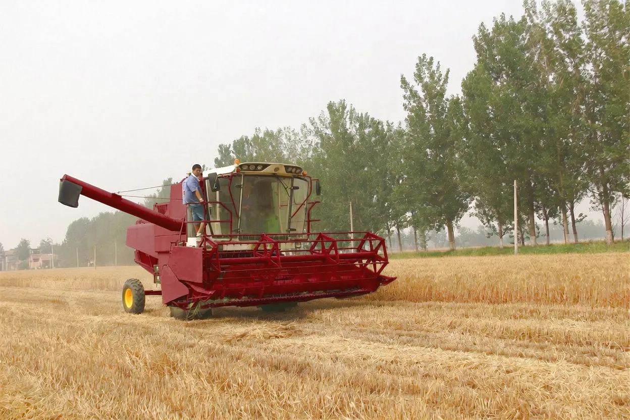 Grain Combine Harvester