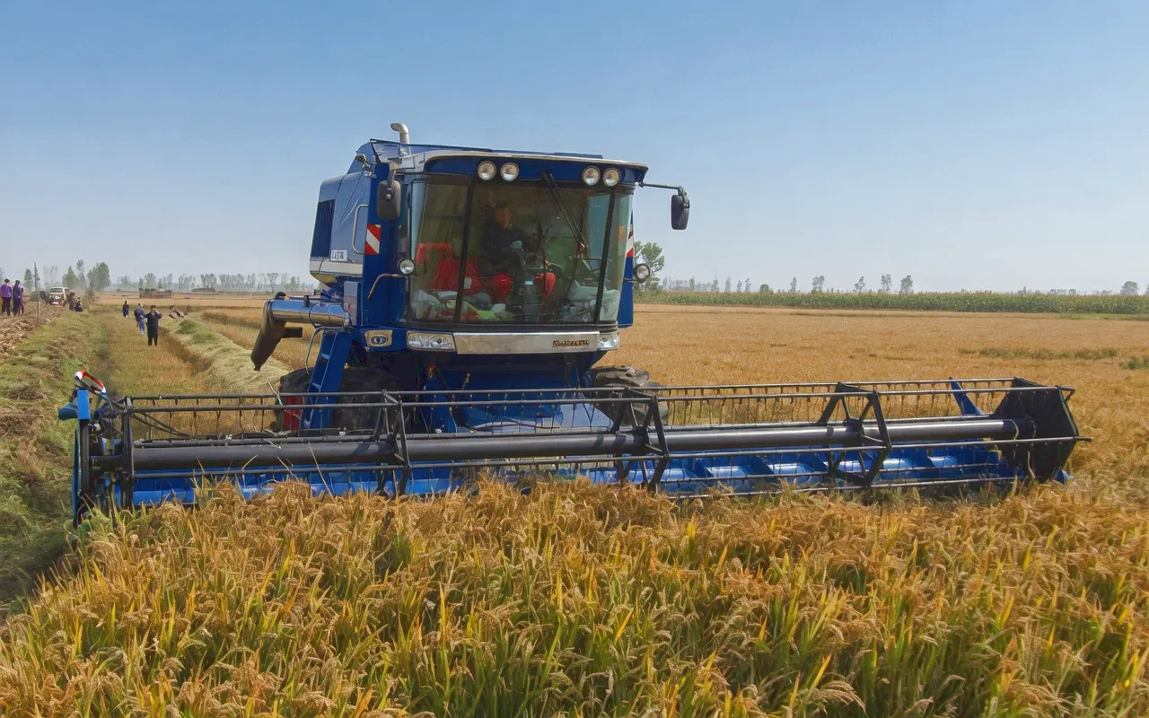 Grain Combine Harvester